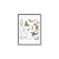 Picture of Cute Wild Animals II _GroupedProduct_Rectangle_Portrait_Mini_ _GroupedProduct_Rectangle_Portrait_Canvas_Framed_