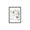 Picture of Cute Wild Animals II _GroupedProduct_Rectangle_Portrait_Mini_ _GroupedProduct_Rectangle_Portrait_Canvas_Framed_