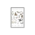 Picture of Cute Wild Animals II _GroupedProduct_Rectangle_Portrait_Mini_ _GroupedProduct_Rectangle_Portrait_Canvas_Framed_