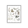 Picture of Cute Wild Animals II _GroupedProduct_Rectangle_Portrait_Mini_ _GroupedProduct_Rectangle_Portrait_Canvas_Framed_