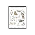Picture of Cute Wild Animals II _GroupedProduct_Rectangle_Portrait_Mini_ _GroupedProduct_Rectangle_Portrait_Canvas_Framed_