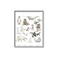Picture of Cute Wild Animals II _GroupedProduct_Rectangle_Portrait_Mini_ _GroupedProduct_Rectangle_Portrait_Canvas_Framed_