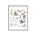 Picture of Cute Wild Animals II _GroupedProduct_Rectangle_Portrait_Mini_ _GroupedProduct_Rectangle_Portrait_Canvas_Framed_