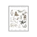 Picture of Cute Wild Animals II _GroupedProduct_Rectangle_Portrait_Mini_ _GroupedProduct_Rectangle_Portrait_Canvas_Framed_