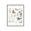 Picture of Cute Wild Animals II _GroupedProduct_Rectangle_Portrait_Mini_ _GroupedProduct_Rectangle_Portrait_Canvas_Framed_