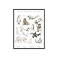 Picture of Cute Wild Animals II _GroupedProduct_Rectangle_Portrait_Mini_ _GroupedProduct_Rectangle_Portrait_Canvas_Framed_