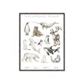 Picture of Cute Wild Animals II _GroupedProduct_Rectangle_Portrait_Mini_ _GroupedProduct_Rectangle_Portrait_Canvas_Framed_