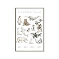 Picture of Cute Wild Animals II _GroupedProduct_Rectangle_Portrait_Mini_ _GroupedProduct_Rectangle_Portrait_Canvas_Framed_