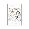 Picture of Cute Wild Animals II _GroupedProduct_Rectangle_Portrait_Mini_ _GroupedProduct_Rectangle_Portrait_Canvas_Framed_