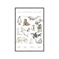 Picture of Cute Wild Animals II _GroupedProduct_Rectangle_Portrait_Mini_ _GroupedProduct_Rectangle_Portrait_Canvas_Framed_