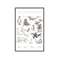 Picture of Cute Wild Animals II _GroupedProduct_Rectangle_Portrait_Mini_ _GroupedProduct_Rectangle_Portrait_Canvas_Framed_
