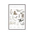 Picture of Cute Wild Animals II _GroupedProduct_Rectangle_Portrait_Mini_ _GroupedProduct_Rectangle_Portrait_Canvas_Framed_