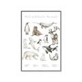 Picture of Cute Wild Animals II _GroupedProduct_Rectangle_Portrait_Mini_ _GroupedProduct_Rectangle_Portrait_Canvas_Framed_