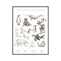 Picture of Cute Wild Animals II _GroupedProduct_Rectangle_Portrait_Mini_ _GroupedProduct_Rectangle_Portrait_Canvas_Framed_