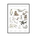 Picture of Cute Wild Animals II _GroupedProduct_Rectangle_Portrait_Mini_ _GroupedProduct_Rectangle_Portrait_Canvas_Framed_