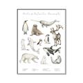 Picture of Cute Wild Animals II _GroupedProduct_Rectangle_Portrait_Mini_ _GroupedProduct_Rectangle_Portrait_Canvas_Framed_