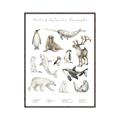 Picture of Cute Wild Animals II _GroupedProduct_Rectangle_Portrait_Mini_ _GroupedProduct_Rectangle_Portrait_Canvas_Framed_