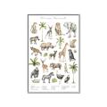Picture of African wild animals I _GroupedProduct_Rectangle_Portrait_Mini_ _GroupedProduct_Rectangle_Portrait_Canvas_Framed_