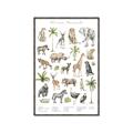 Picture of African wild animals I _GroupedProduct_Rectangle_Portrait_Mini_ _GroupedProduct_Rectangle_Portrait_Canvas_Framed_