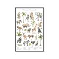 Picture of African wild animals I _GroupedProduct_Rectangle_Portrait_Mini_ _GroupedProduct_Rectangle_Portrait_Canvas_Framed_