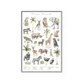 Picture of African wild animals I _GroupedProduct_Rectangle_Portrait_Mini_ _GroupedProduct_Rectangle_Portrait_Canvas_Framed_