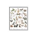 Picture of African wild animals II _GroupedProduct_Rectangle_Portrait_Mini_ _GroupedProduct_Rectangle_Portrait_Canvas_Framed_