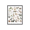 Picture of African wild animals II _GroupedProduct_Rectangle_Portrait_Mini_ _GroupedProduct_Rectangle_Portrait_Canvas_Framed_
