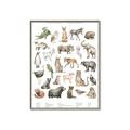 Picture of African wild animals II _GroupedProduct_Rectangle_Portrait_Mini_ _GroupedProduct_Rectangle_Portrait_Canvas_Framed_