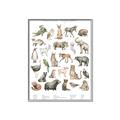 Picture of African wild animals II _GroupedProduct_Rectangle_Portrait_Mini_ _GroupedProduct_Rectangle_Portrait_Canvas_Framed_