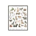 Picture of African wild animals II _GroupedProduct_Rectangle_Portrait_Mini_ _GroupedProduct_Rectangle_Portrait_Canvas_Framed_