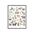 Picture of African wild animals II _GroupedProduct_Rectangle_Portrait_Mini_ _GroupedProduct_Rectangle_Portrait_Canvas_Framed_