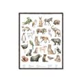 Picture of African wild animals II _GroupedProduct_Rectangle_Portrait_Mini_ _GroupedProduct_Rectangle_Portrait_Canvas_Framed_