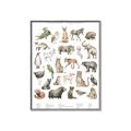 Picture of African wild animals II _GroupedProduct_Rectangle_Portrait_Mini_ _GroupedProduct_Rectangle_Portrait_Canvas_Framed_