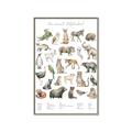 Picture of African wild animals II _GroupedProduct_Rectangle_Portrait_Mini_ _GroupedProduct_Rectangle_Portrait_Canvas_Framed_