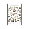 Picture of African wild animals II _GroupedProduct_Rectangle_Portrait_Mini_ _GroupedProduct_Rectangle_Portrait_Canvas_Framed_