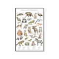 Picture of Cute Wild Animals I _GroupedProduct_Rectangle_Portrait_Mini_ _GroupedProduct_Rectangle_Portrait_Canvas_Framed_