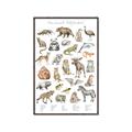 Picture of Cute Wild Animals I _GroupedProduct_Rectangle_Portrait_Mini_ _GroupedProduct_Rectangle_Portrait_Canvas_Framed_