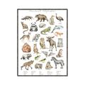 Picture of Cute Wild Animals I _GroupedProduct_Rectangle_Portrait_Mini_ _GroupedProduct_Rectangle_Portrait_Canvas_Framed_