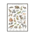 Picture of Cute Wild Animals I _GroupedProduct_Rectangle_Portrait_Mini_ _GroupedProduct_Rectangle_Portrait_Canvas_Framed_