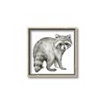 Picture of Forest Raccoon  _GroupedProduct_Square_Mini_ _GroupedProduct_Square_Canvas_Framed_