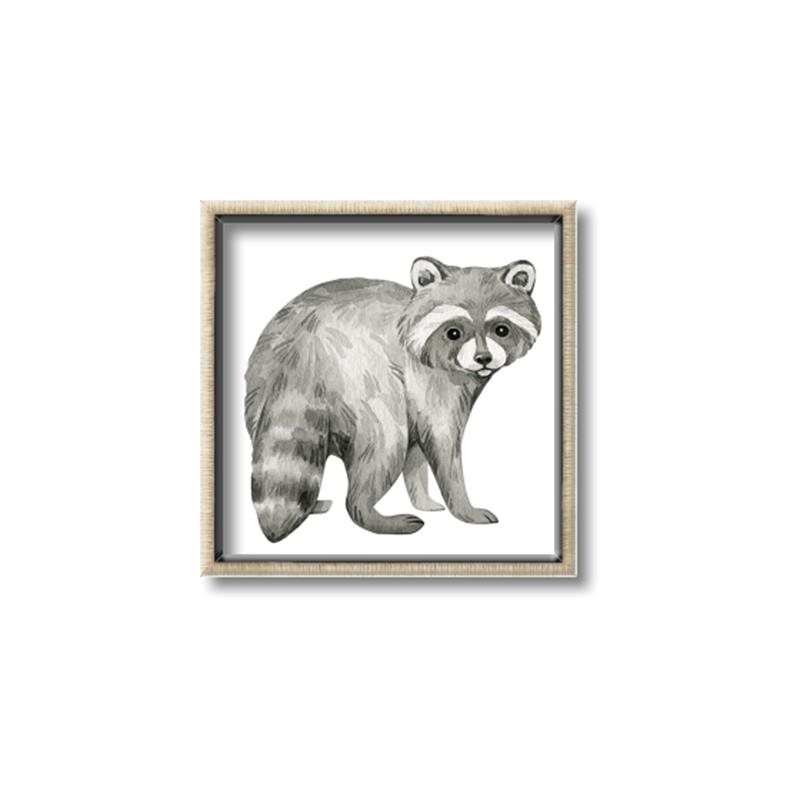 Picture of Forest Raccoon  _GroupedProduct_Square_Mini_ _GroupedProduct_Square_Canvas_Framed_