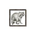 Picture of Forest Raccoon  _GroupedProduct_Square_Mini_ _GroupedProduct_Square_Canvas_Framed_