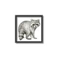 Picture of Forest Raccoon  _GroupedProduct_Square_Mini_ _GroupedProduct_Square_Canvas_Framed_