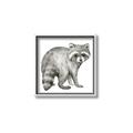 Picture of Forest Raccoon  _GroupedProduct_Square_Mini_ _GroupedProduct_Square_Canvas_Framed_