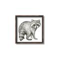 Picture of Forest Raccoon  _GroupedProduct_Square_Mini_ _GroupedProduct_Square_Canvas_Framed_