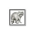 Picture of Forest Raccoon  _GroupedProduct_Square_Mini_ _GroupedProduct_Square_Canvas_Framed_