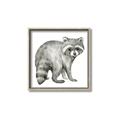 Picture of Forest Raccoon  _GroupedProduct_Square_Mini_ _GroupedProduct_Square_Canvas_Framed_