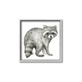 Picture of Forest Raccoon  _GroupedProduct_Square_Mini_ _GroupedProduct_Square_Canvas_Framed_