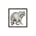 Picture of Forest Raccoon  _GroupedProduct_Square_Mini_ _GroupedProduct_Square_Canvas_Framed_