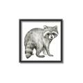 Picture of Forest Raccoon  _GroupedProduct_Square_Mini_ _GroupedProduct_Square_Canvas_Framed_